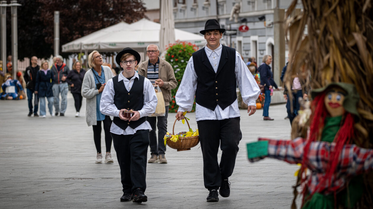 klikom po ČK 2709-5