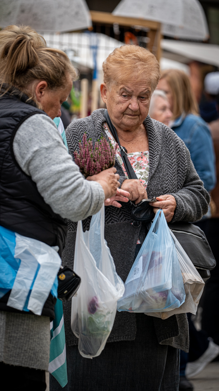 klikom po ČK 2709-56