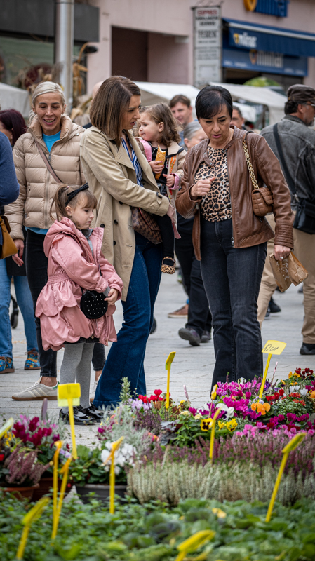 klikom po ČK 2709-58