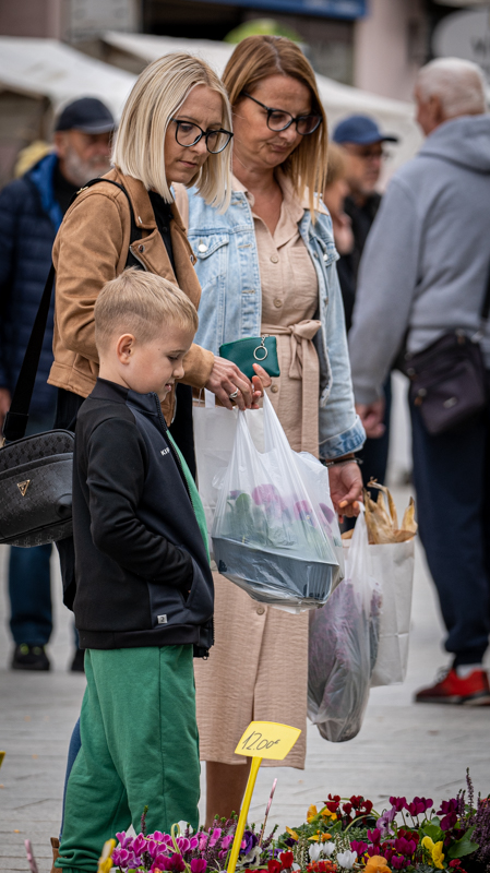 klikom po ČK 2709-61