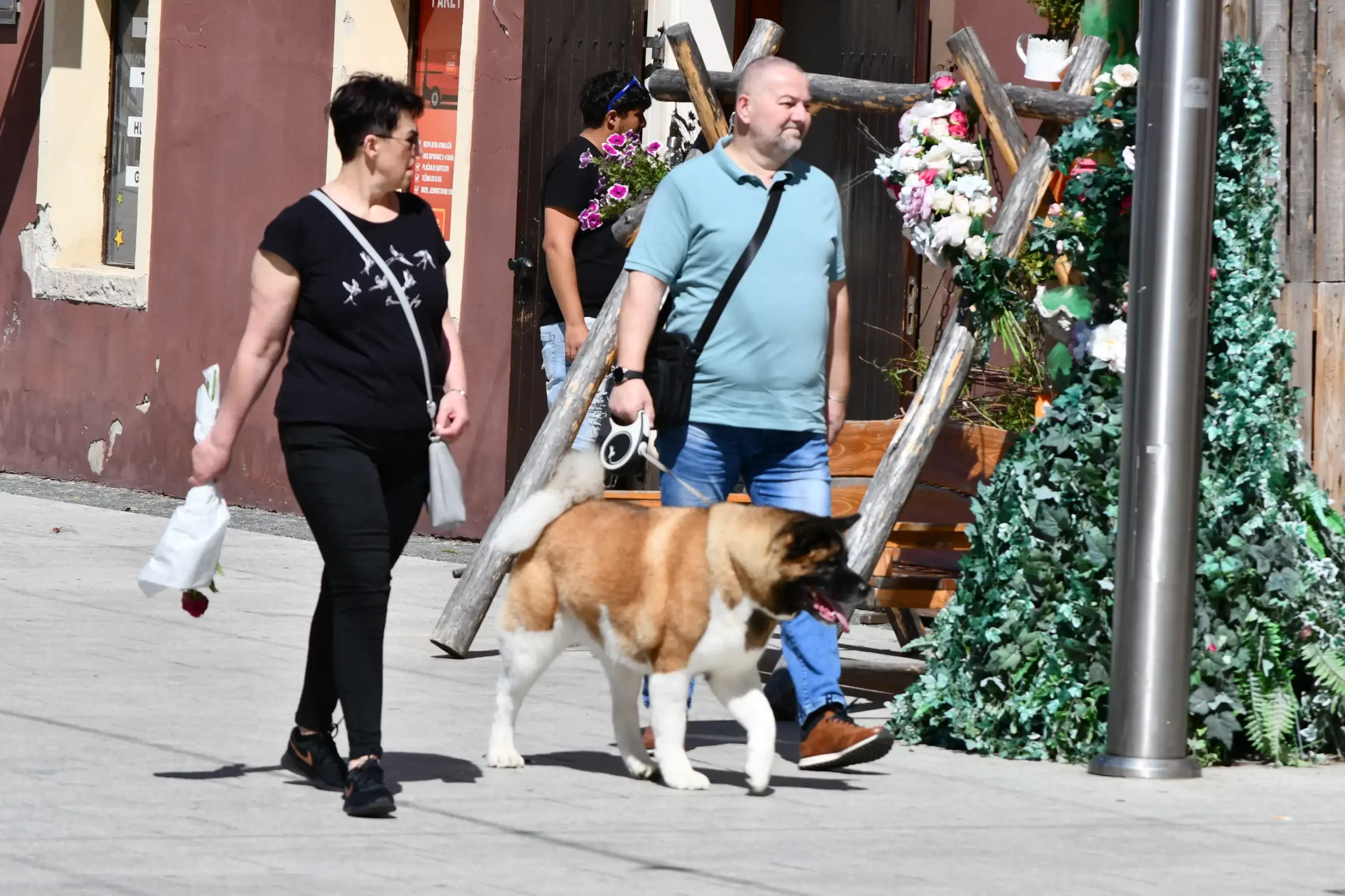 klikom po čakovcu,11.5 (33) klikom po čakovcu,11.5 (33)