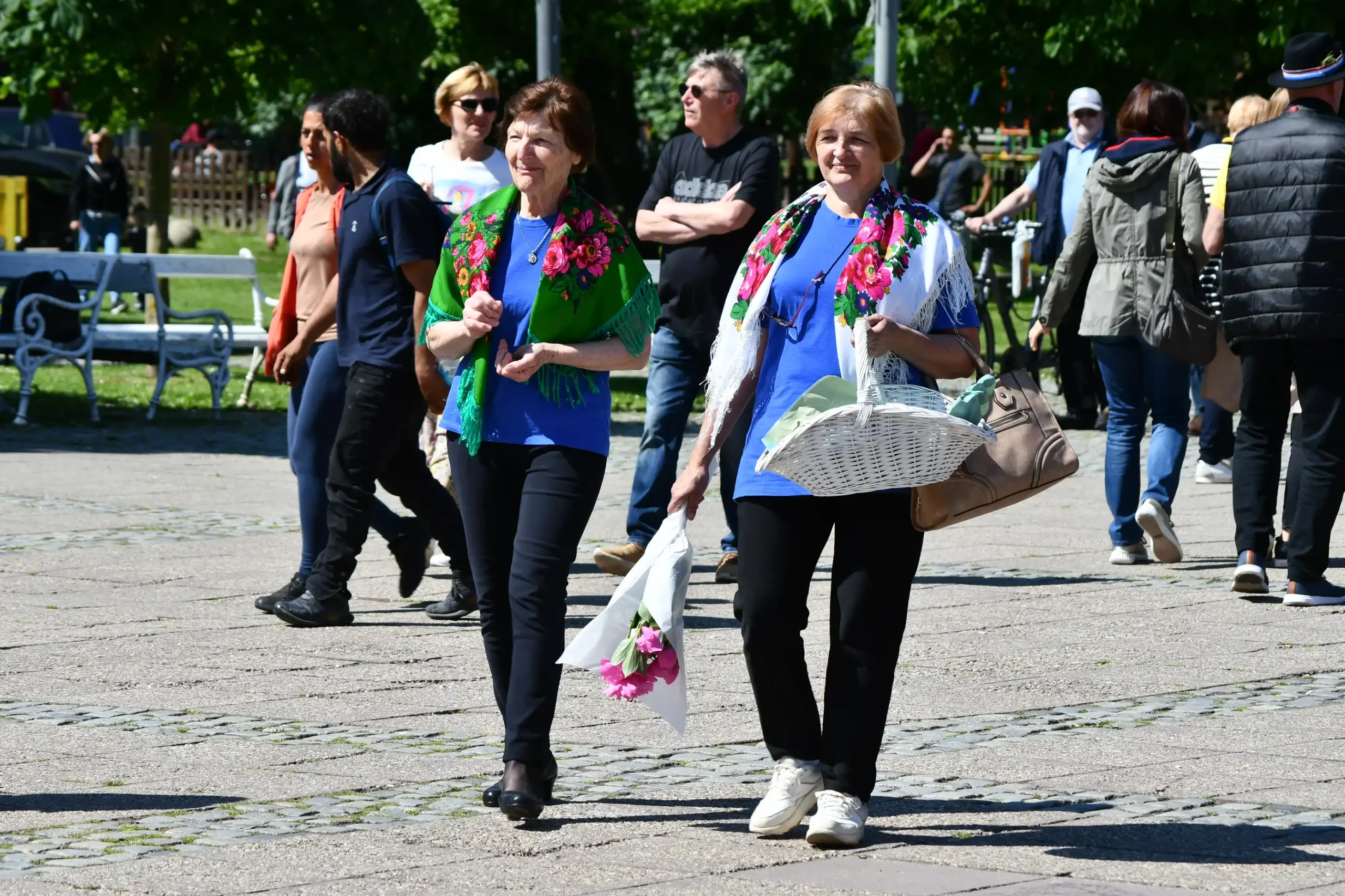 klikom po čakovcu,11.5 (49) klikom po čakovcu,11.5 (49)