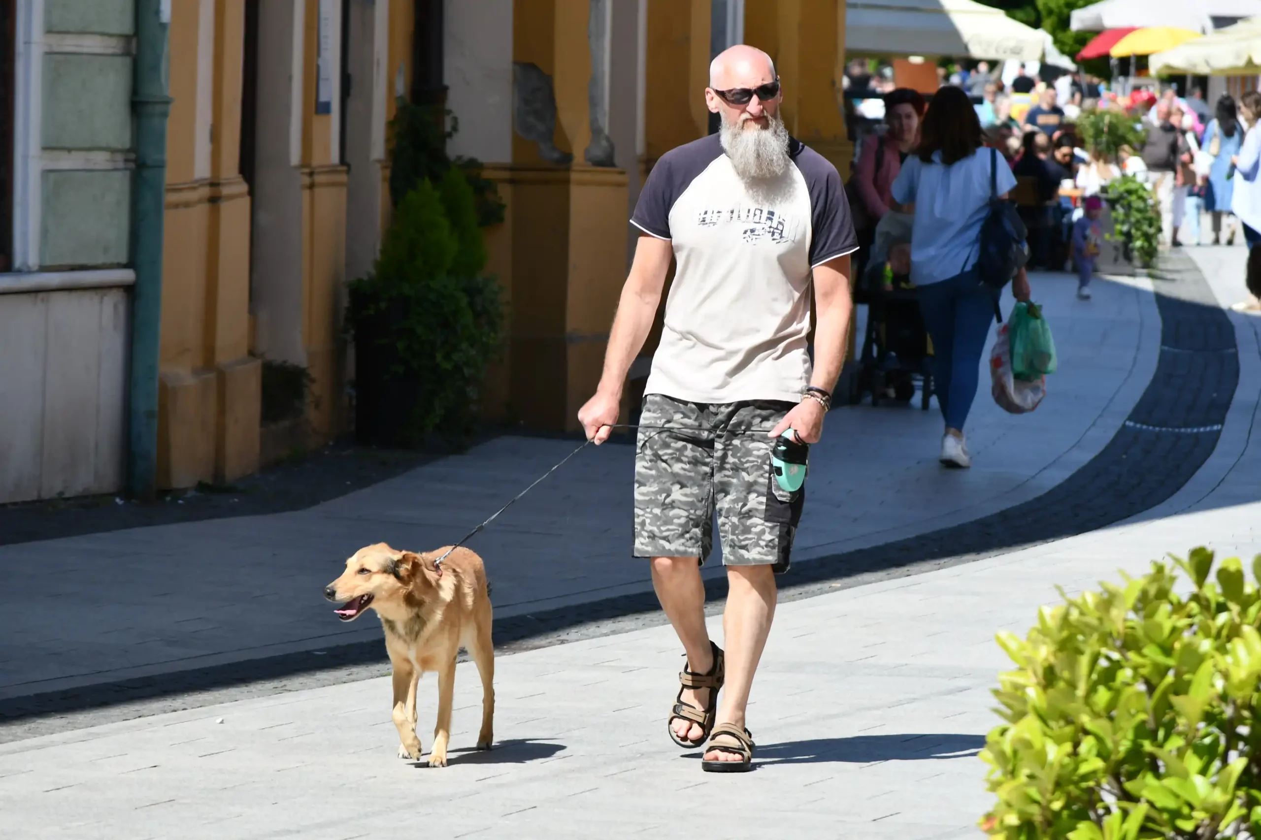 klikom po čakovcu,11.5 (66) klikom po čakovcu,11.5 (66)