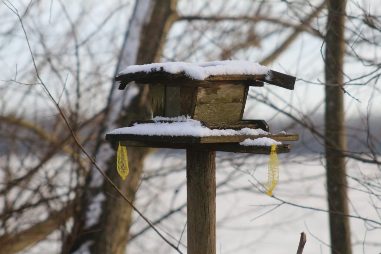 klikom po marini 0401 13