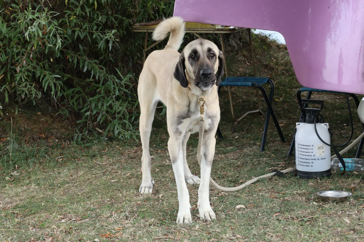 klikom po marini 18.8 (23)