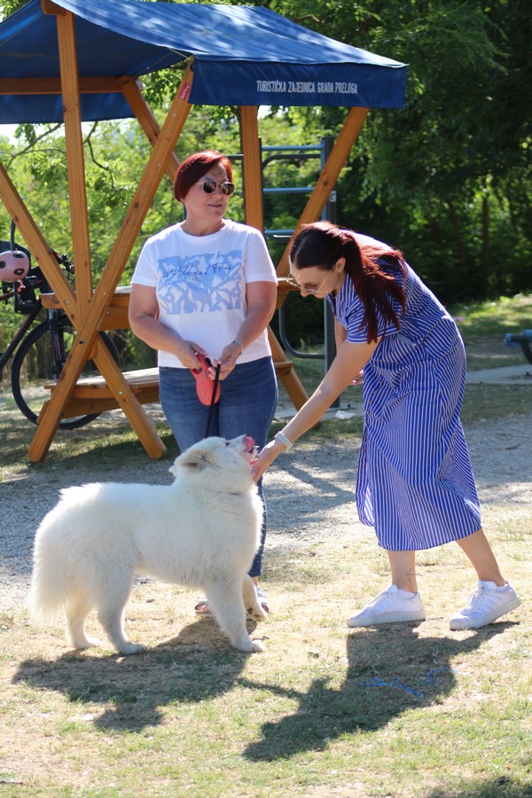 klikom po marini 22.6.2025 (26) klikom po marini 22.6.2025 (26)