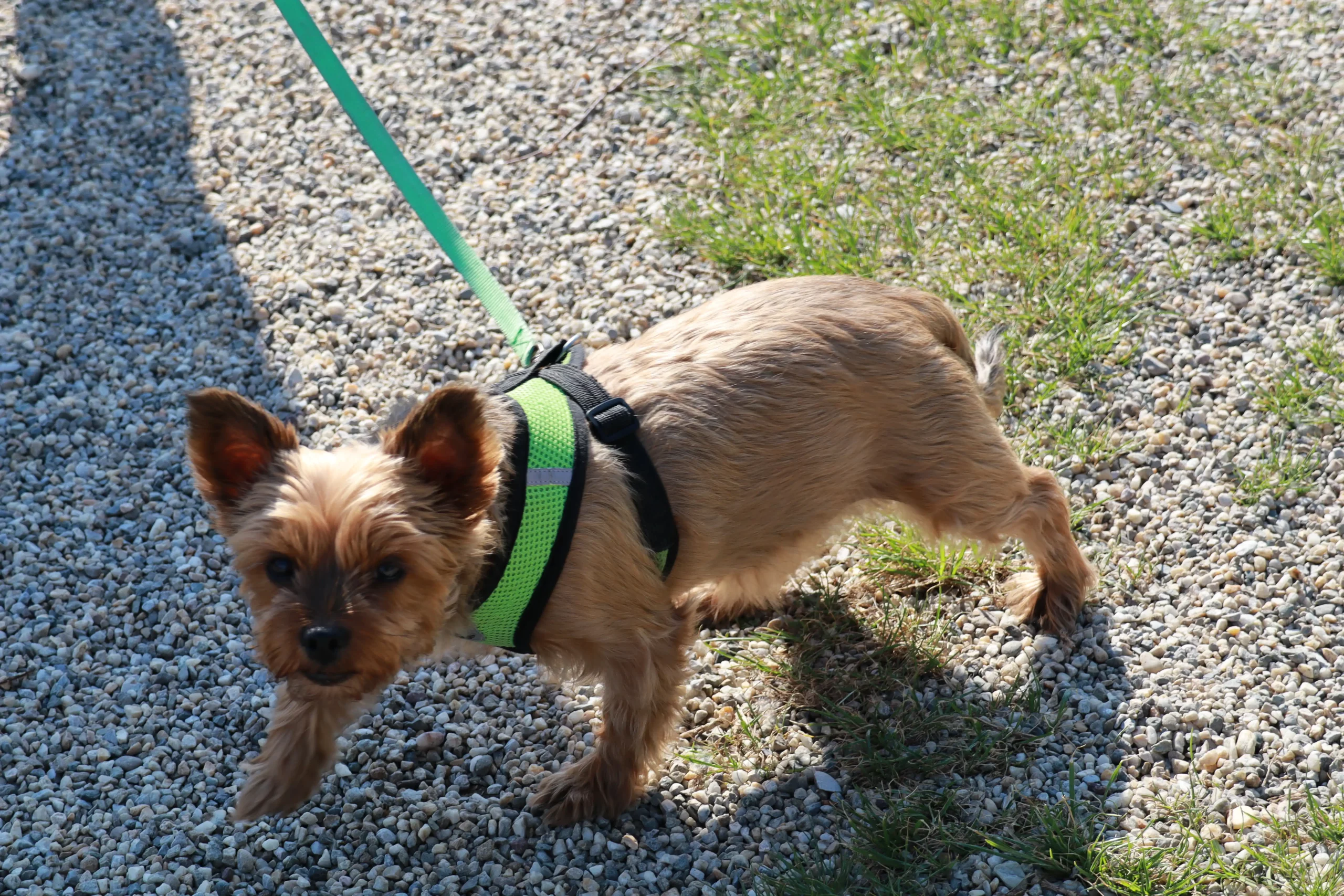 klikom po marini,12.5.2024 (10) klikom po marini,12.5.2024 (10)