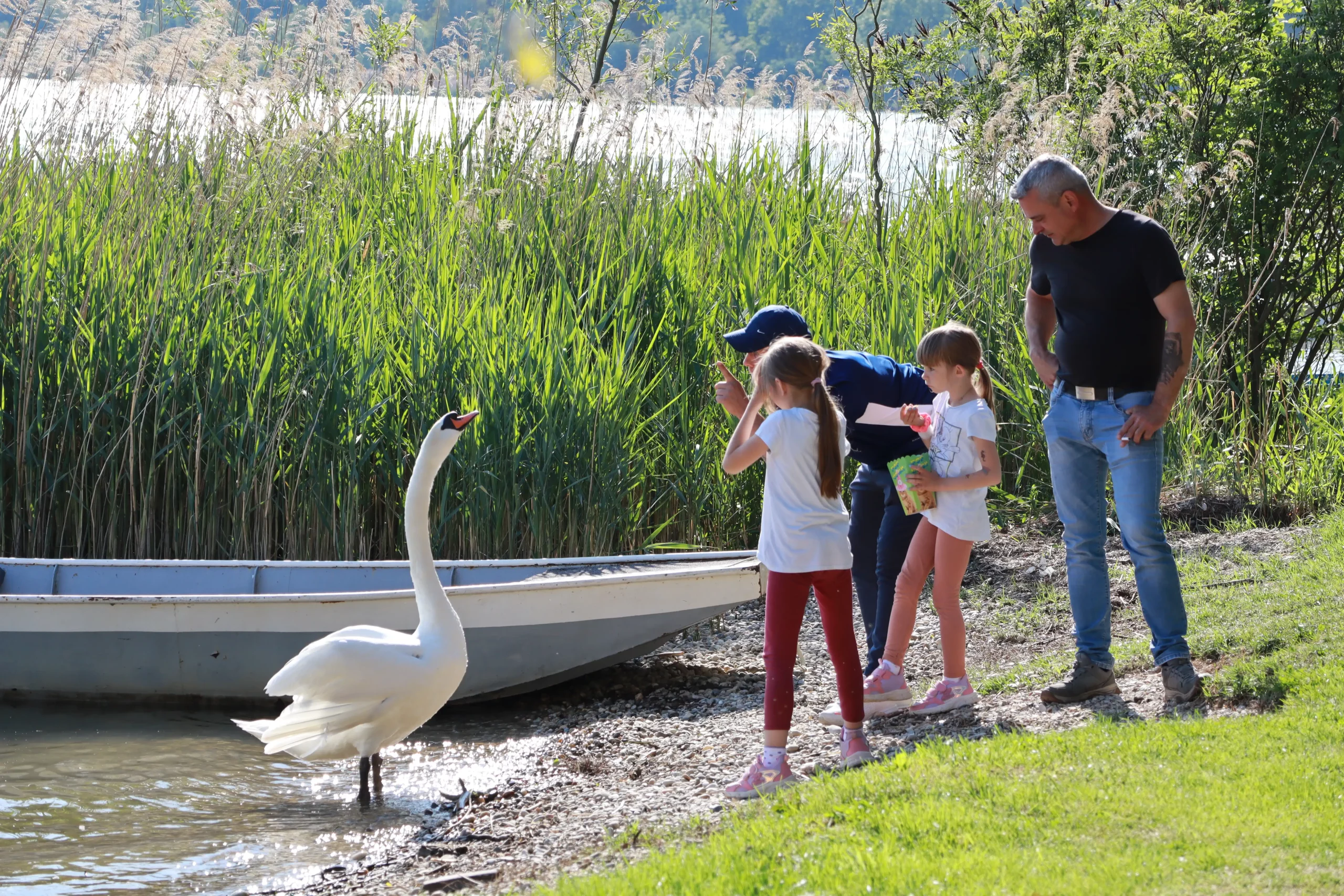 klikom po marini,12.5.2024 (18) klikom po marini,12.5.2024 (18)