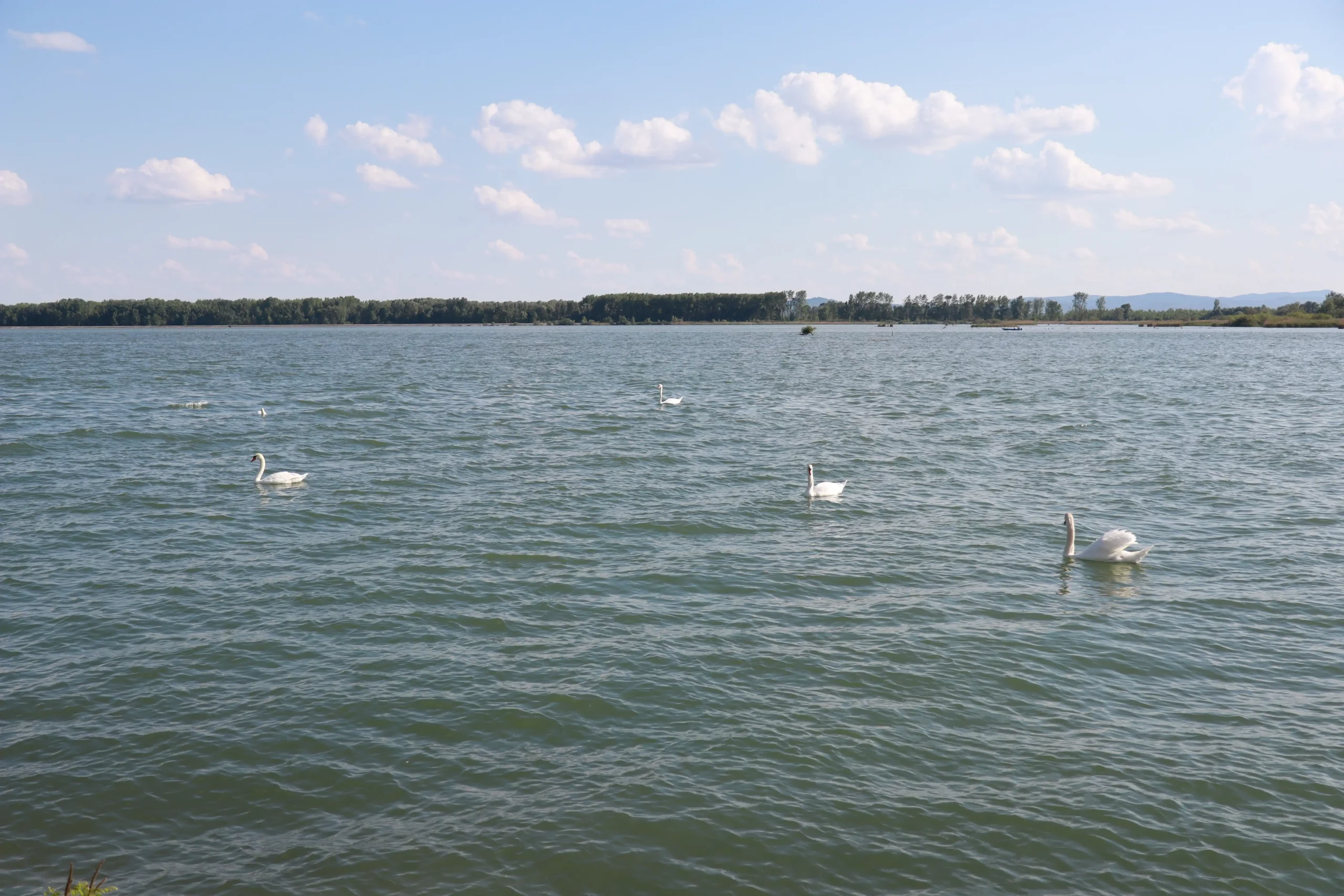 klikom po marini,12.5.2024 (25) klikom po marini,12.5.2024 (25)