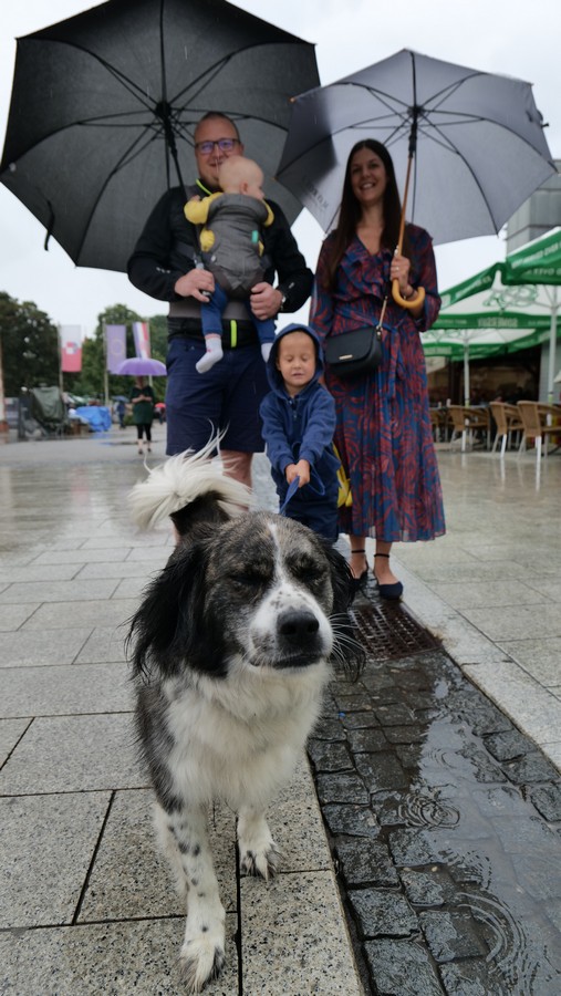 klikom po proščenju 3.8.2025 (10)