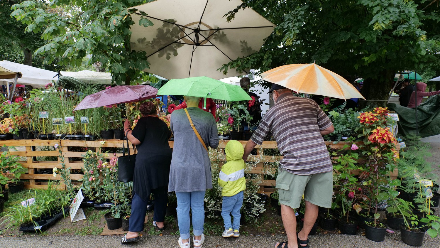 klikom po proščenju 3.8.2025 (6)