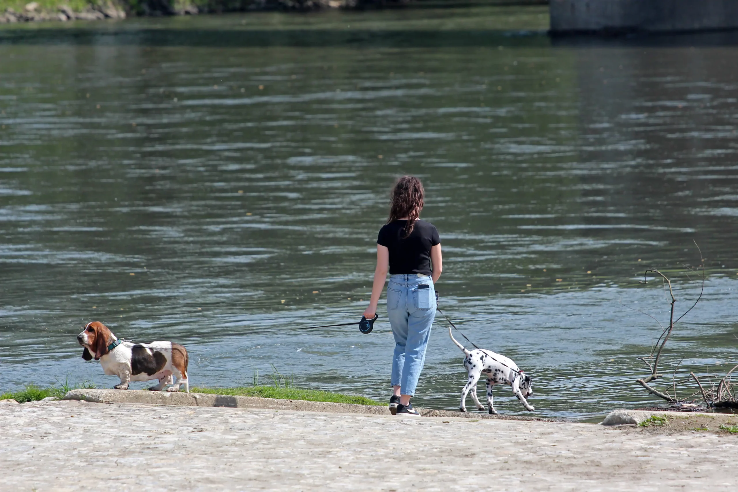 klikom uz muru 14.4.2024 (11)