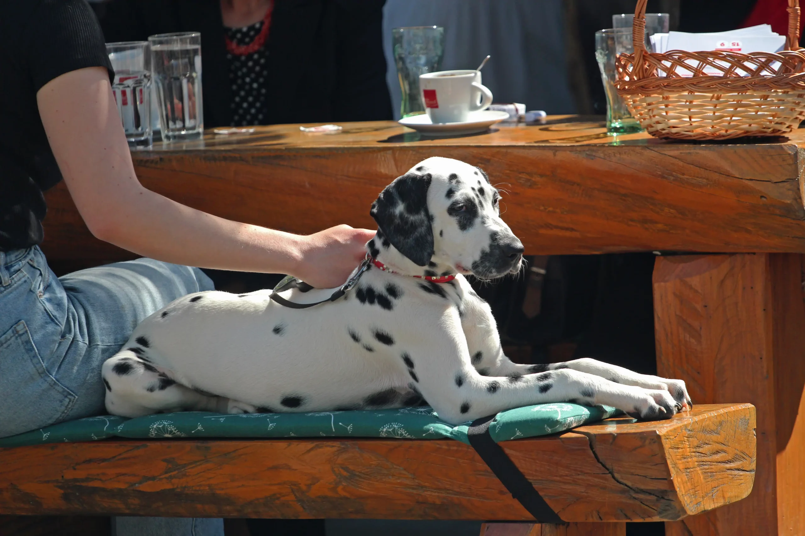 klikom uz muru 14.4.2024 (5)