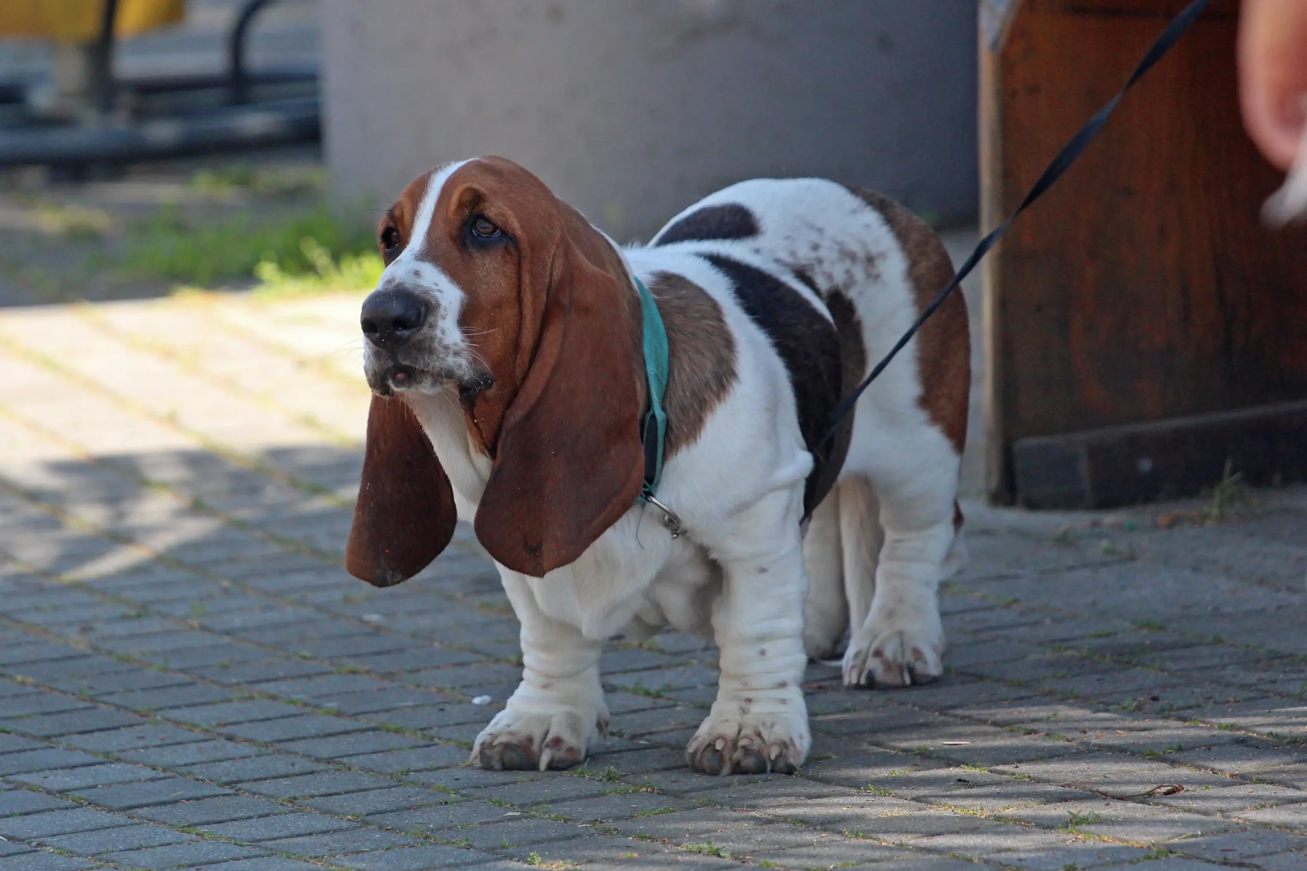 klikom uz muru 14.4.2024 (6)