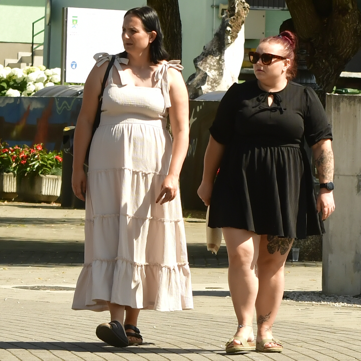 klikom uz muru 22.6.2025 (37) klikom uz muru 22.6.2025 (37)