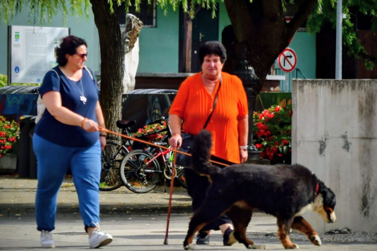 klikom uz muru 7.9. 2025 (22)