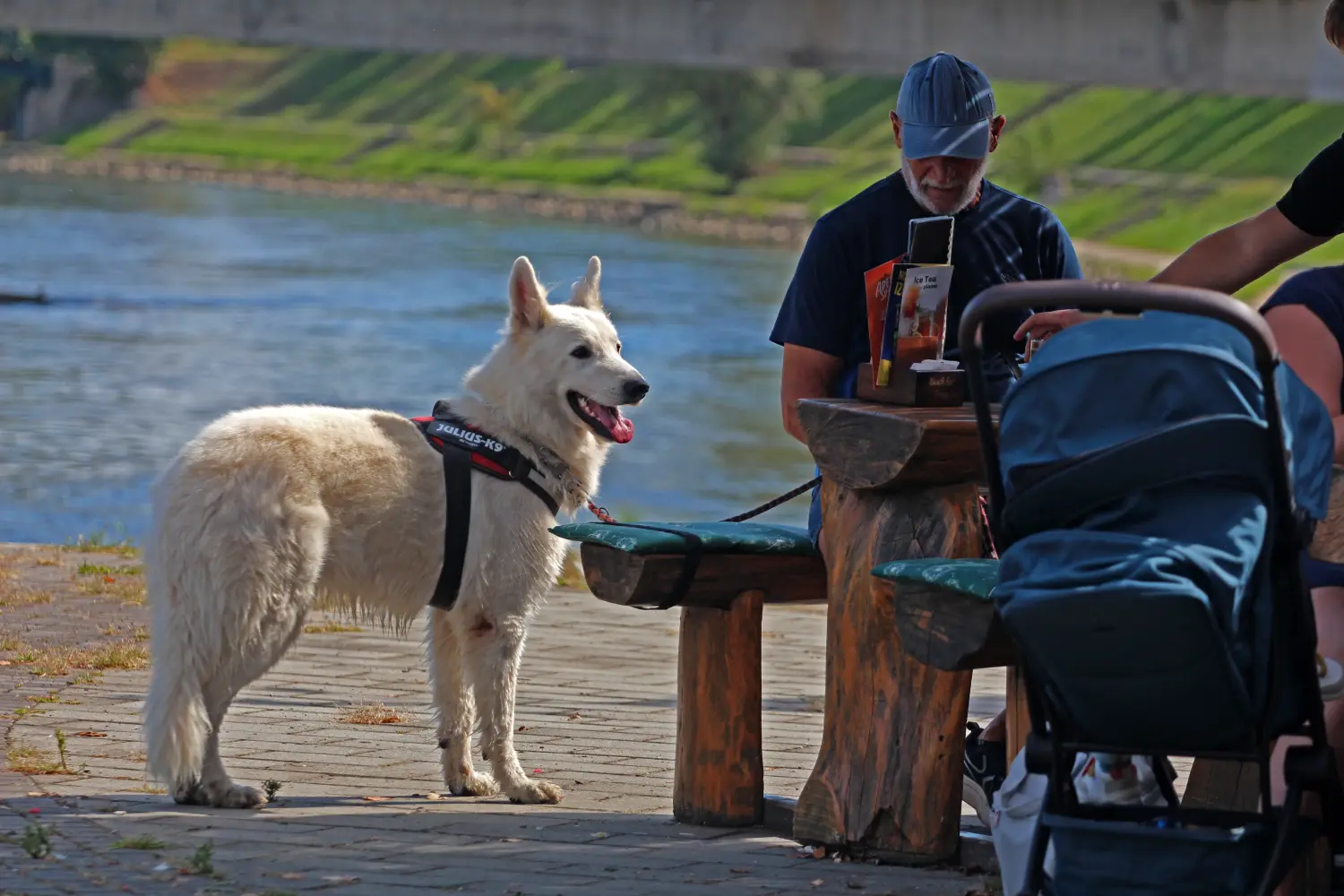 klikom uz muru 8.9.2024 (18)