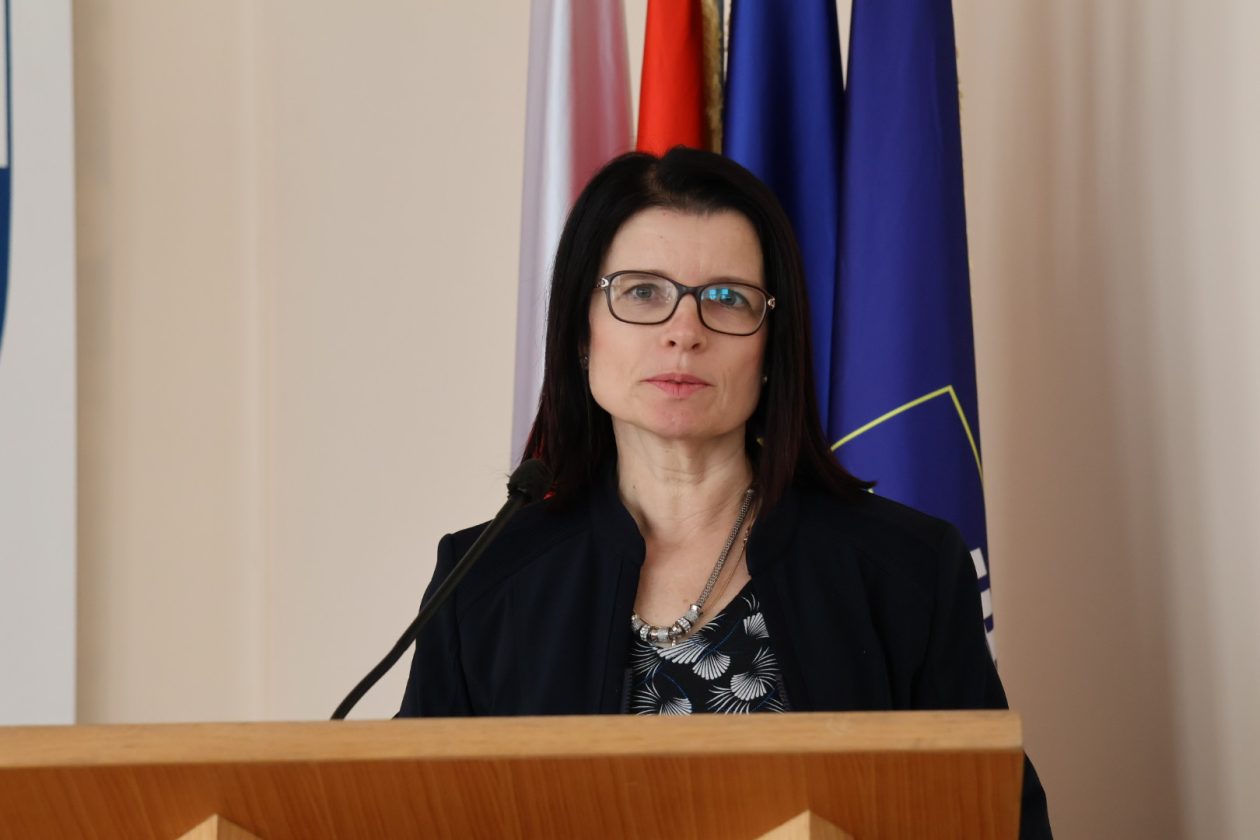 kolegij gradonačelnika i načelnika (65)