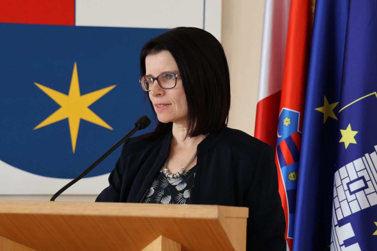 kolegij gradonačelnika i načelnika (80)