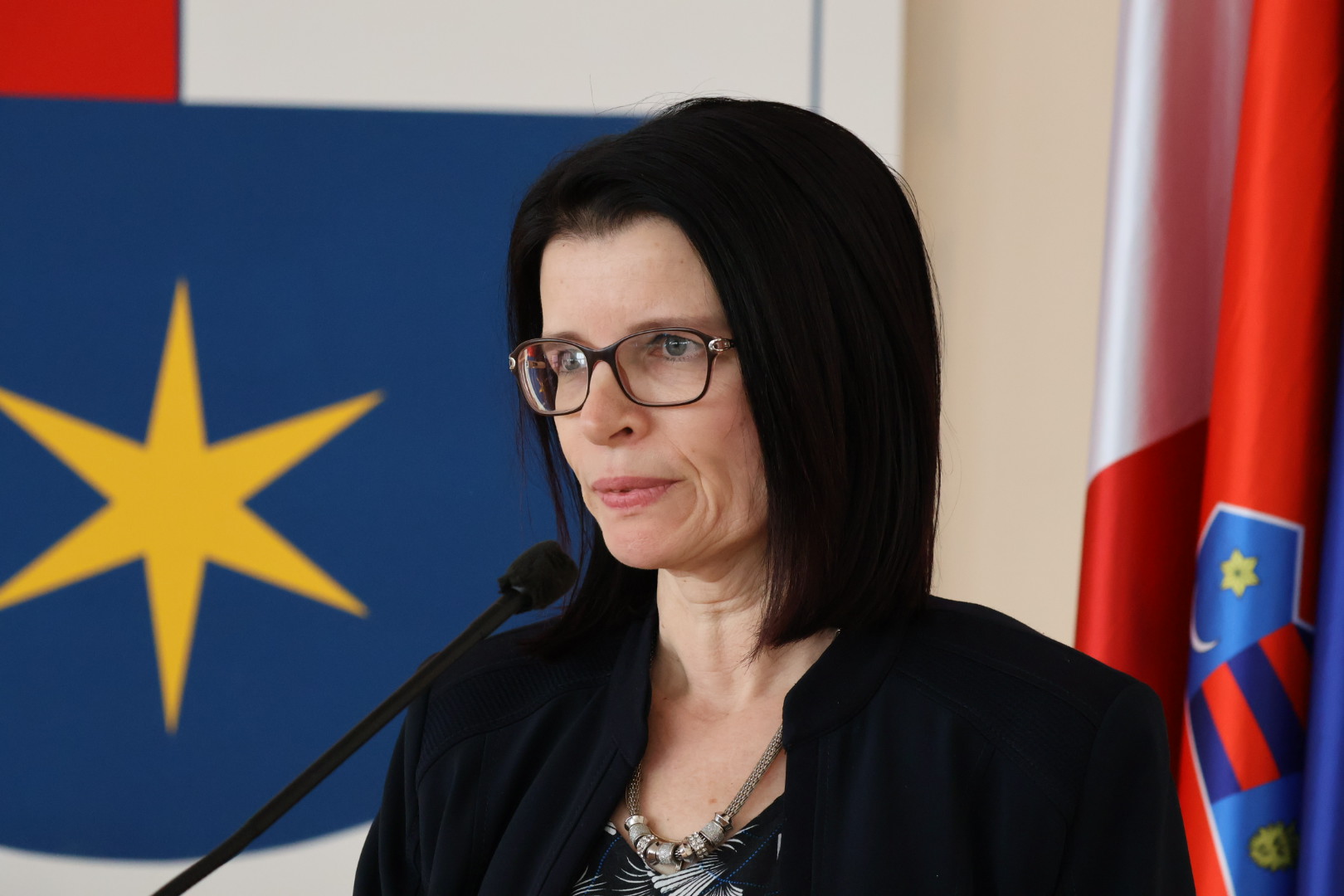 kolegij gradonačelnika i načelnika (81)