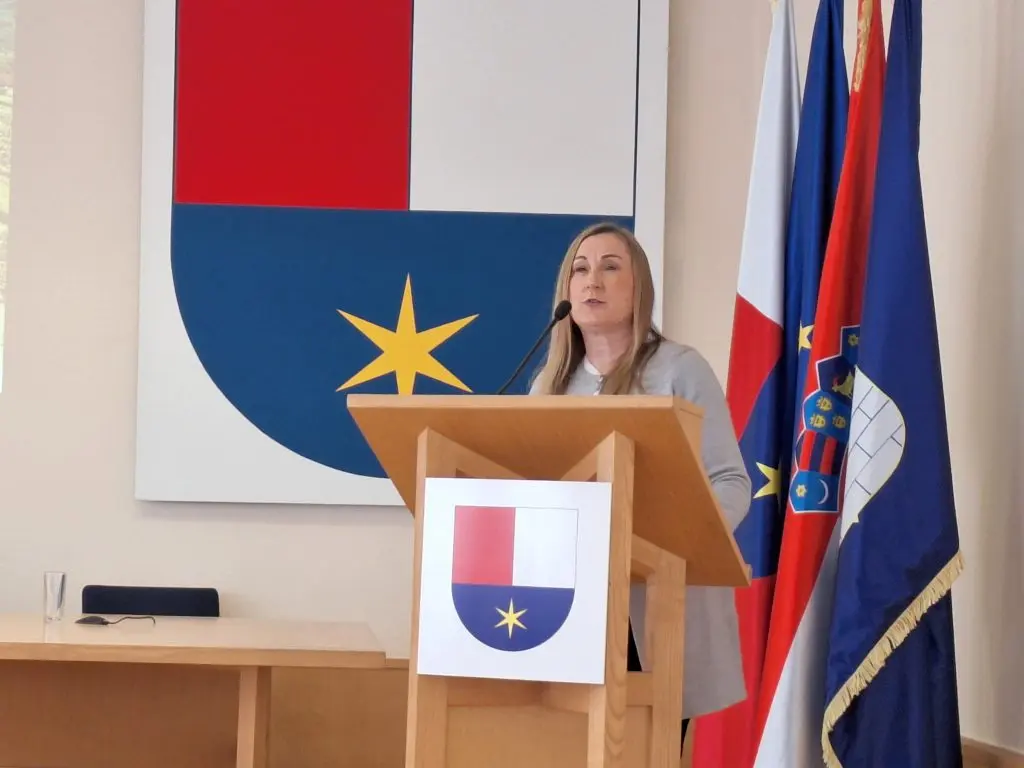 kolegij gradonačelnika i načelnika siječanj 2024 (1) kolegij gradonačelnika i načelnika siječanj 2024 (1)