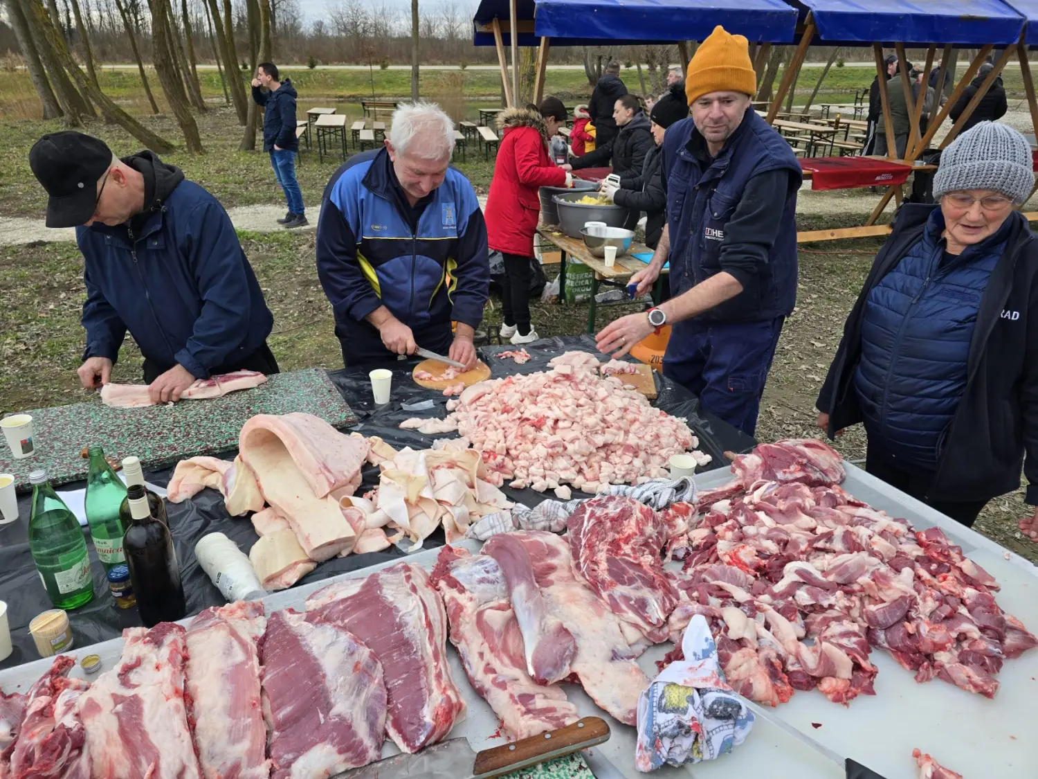 kolinje 2025, Čukovec (13) kolinje 2025, Čukovec (13)