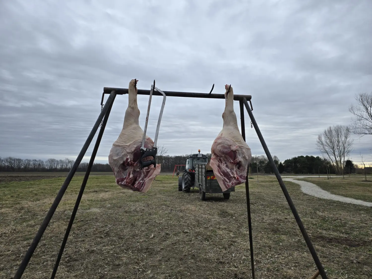 kolinje 2025, Čukovec (17) kolinje 2025, Čukovec (17)