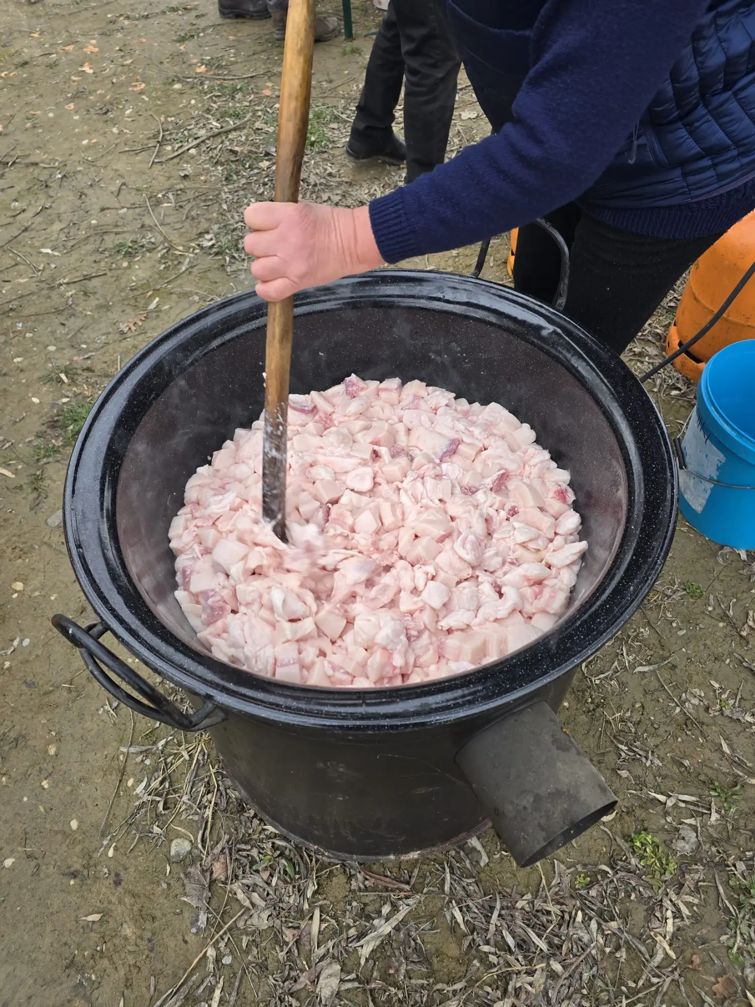 kolinje u Čukovcu 2025 (1) kolinje u Čukovcu 2025 (1)