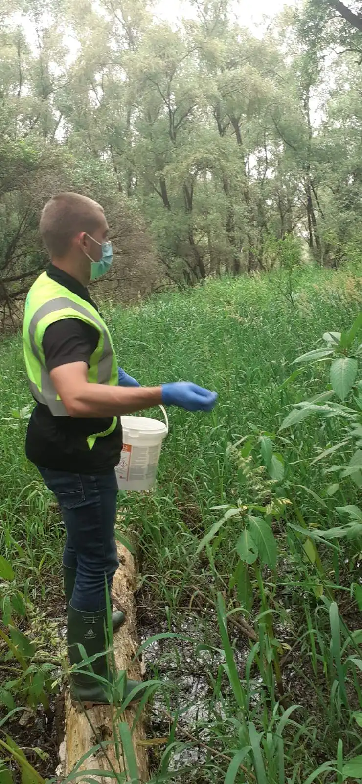 komarci,mursko središće (1) komarci,mursko središće (1)