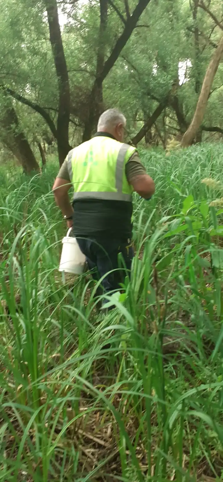 komarci,mursko središće (2) komarci,mursko središće (2)