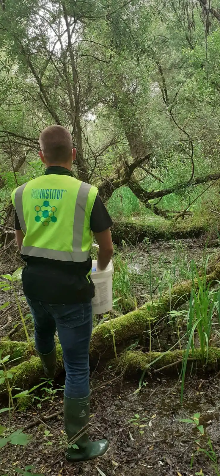 komarci,mursko središće (3) komarci,mursko središće (3)