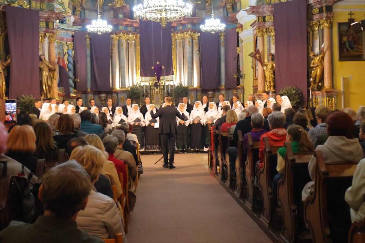 koncert Lado u Čakovcu (10)