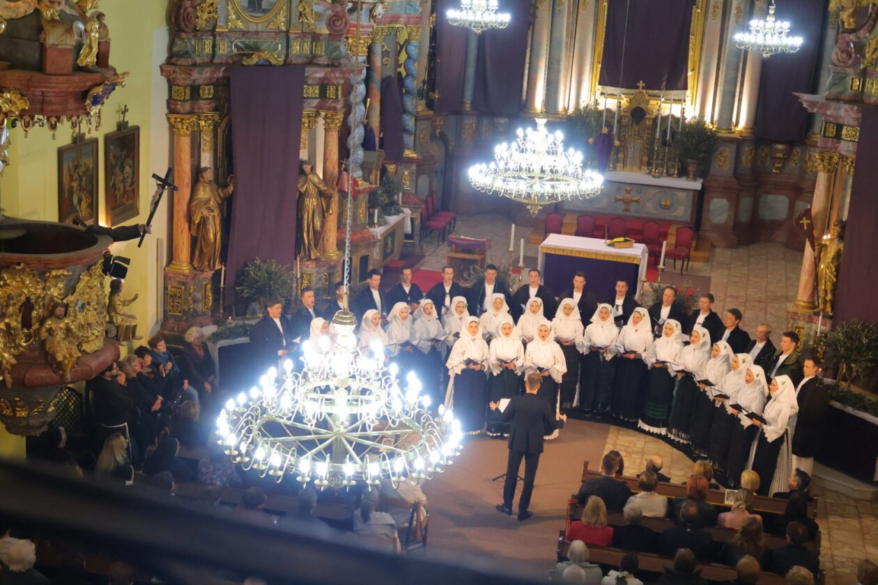 koncert Lado u Čakovcu (8)