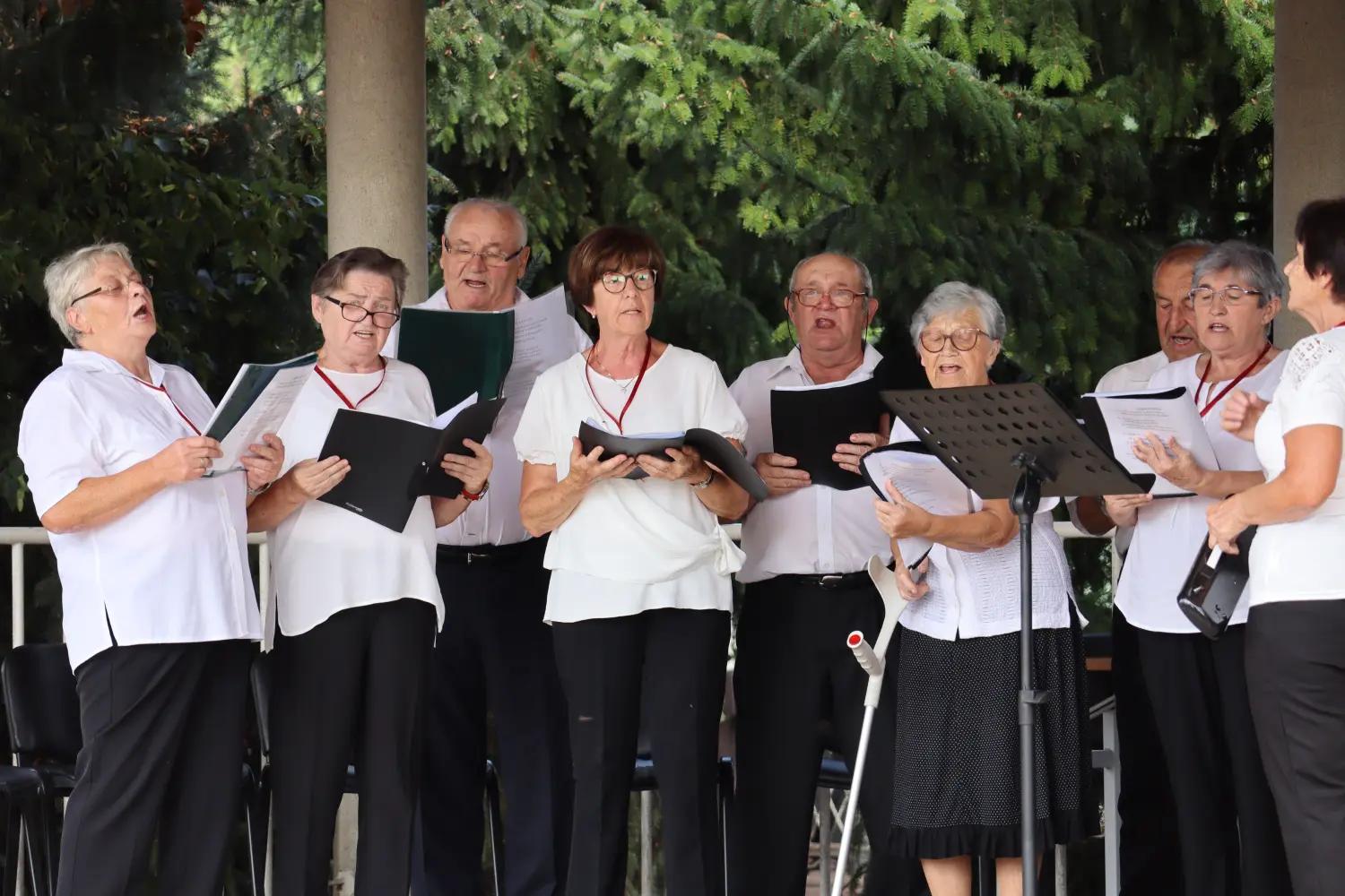 koncert u črnoj pešti udruga umirovljenika sveta marija (18)