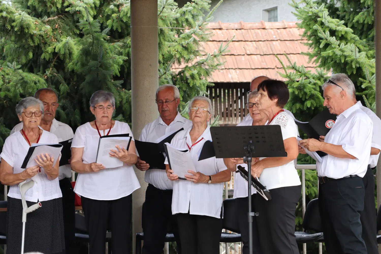 koncert u črnoj pešti udruga umirovljenika sveta marija (21)