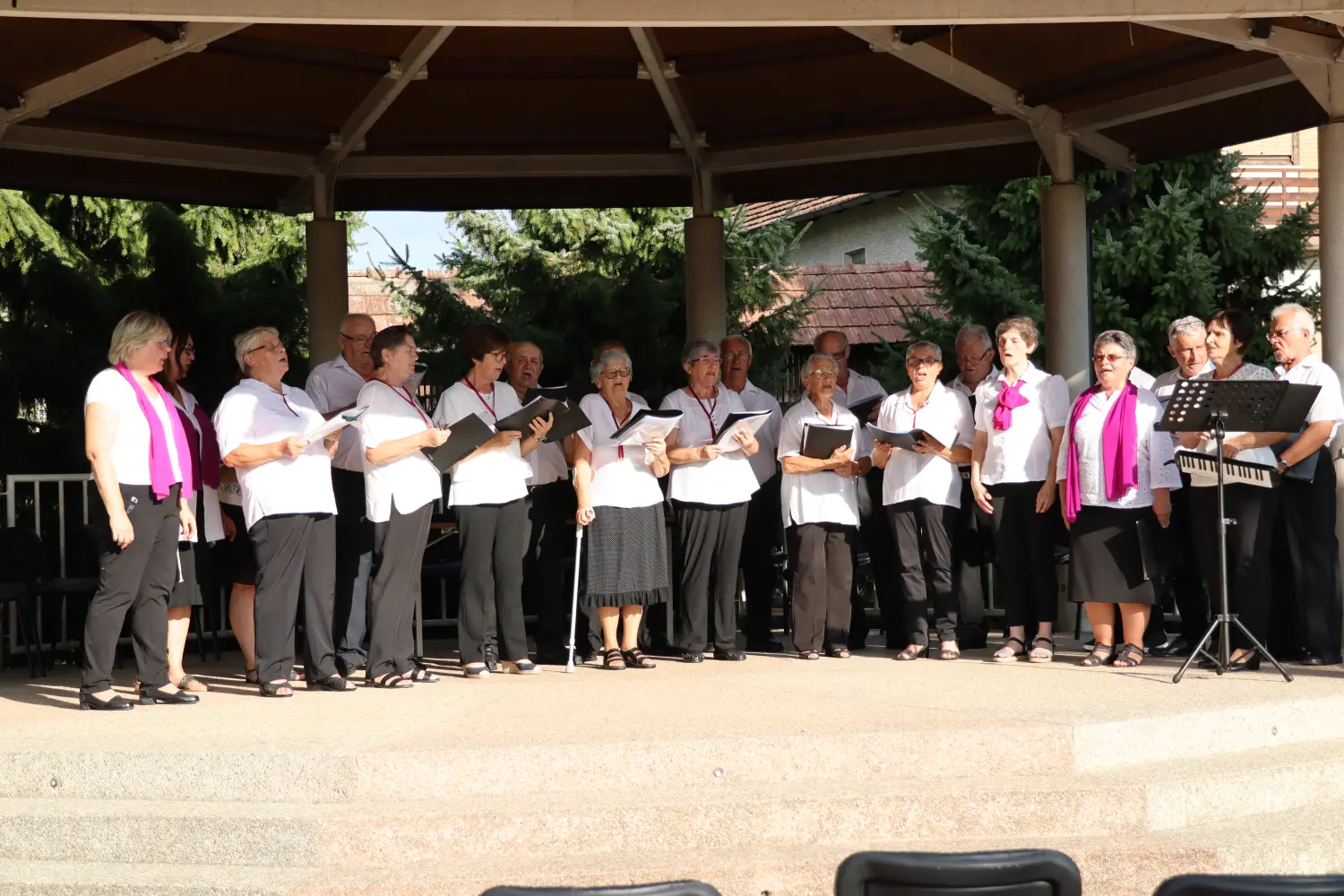 koncert u črnoj pešti udruga umirovljenika sveta marija (27)