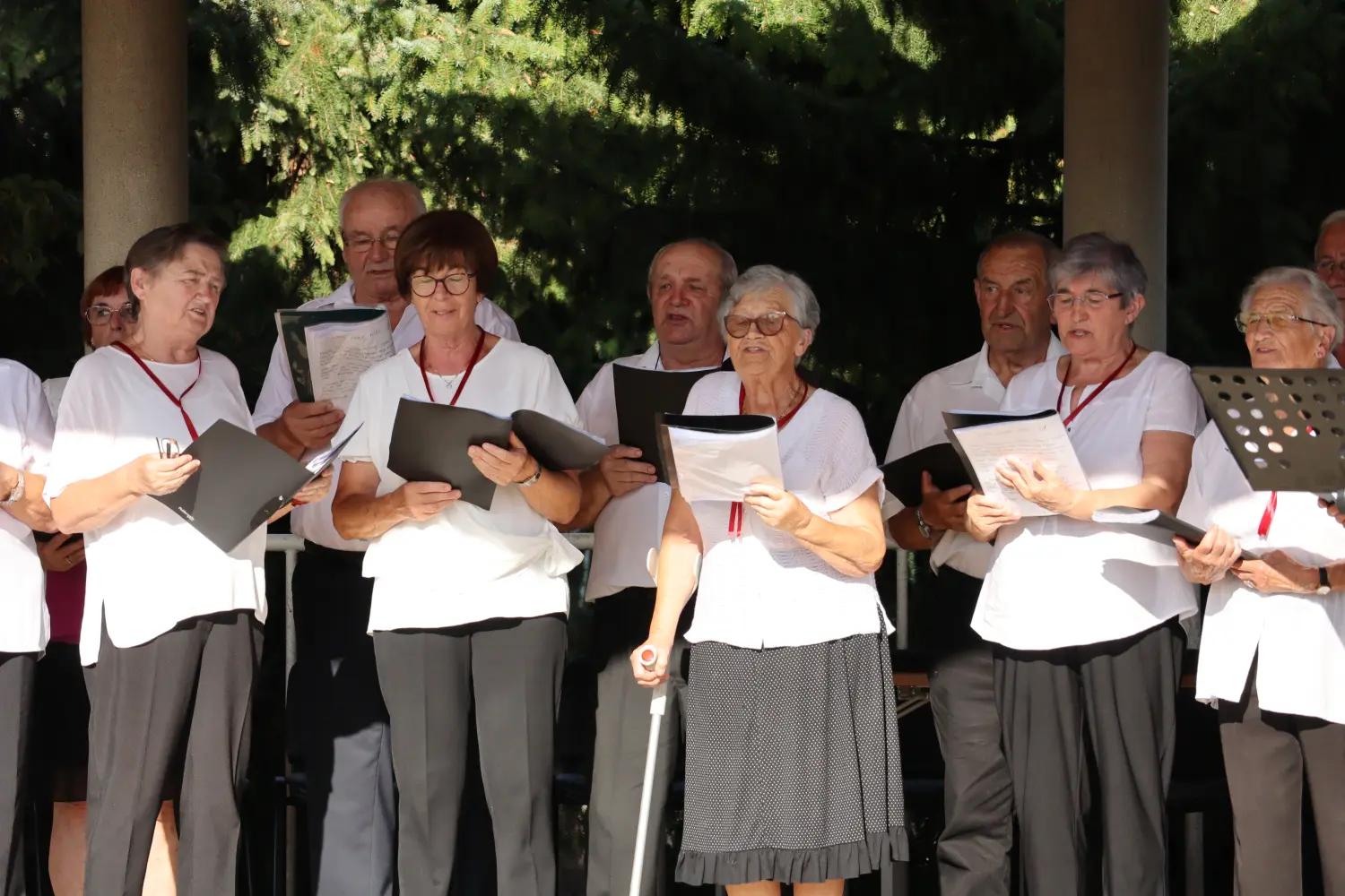 koncert u črnoj pešti udruga umirovljenika sveta marija (28)