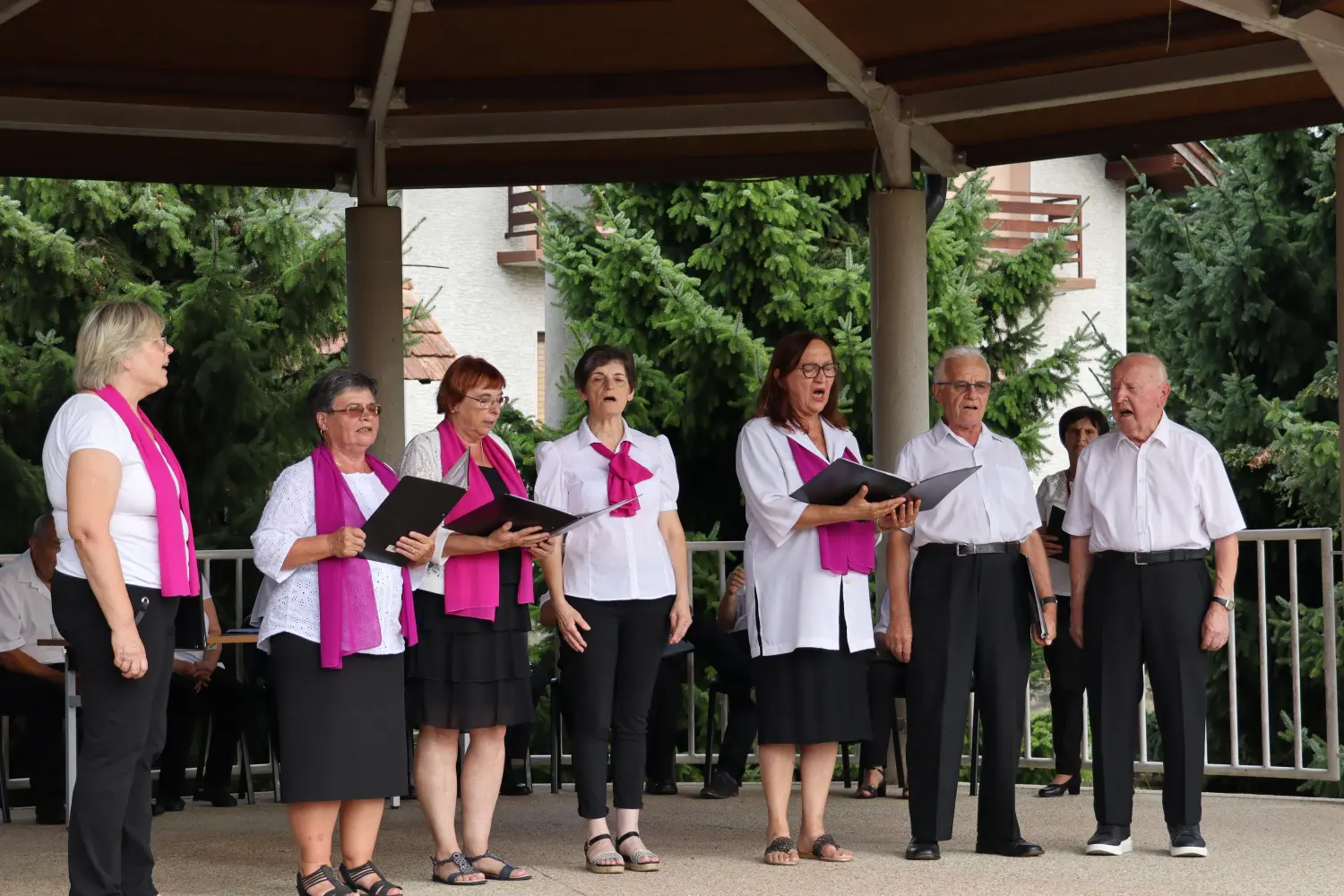 koncert u črnoj pešti udruga umirovljenika sveta marija (32)