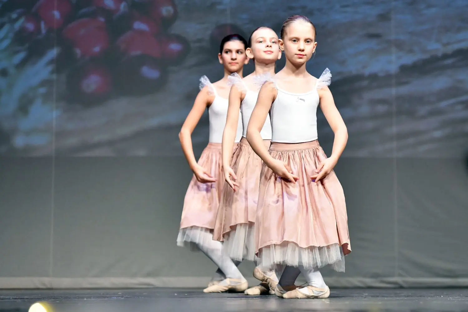 koncert učenika Umjetničke škole “Miroslav Magdalenić” CZK-u Čakovec 2024 (24)