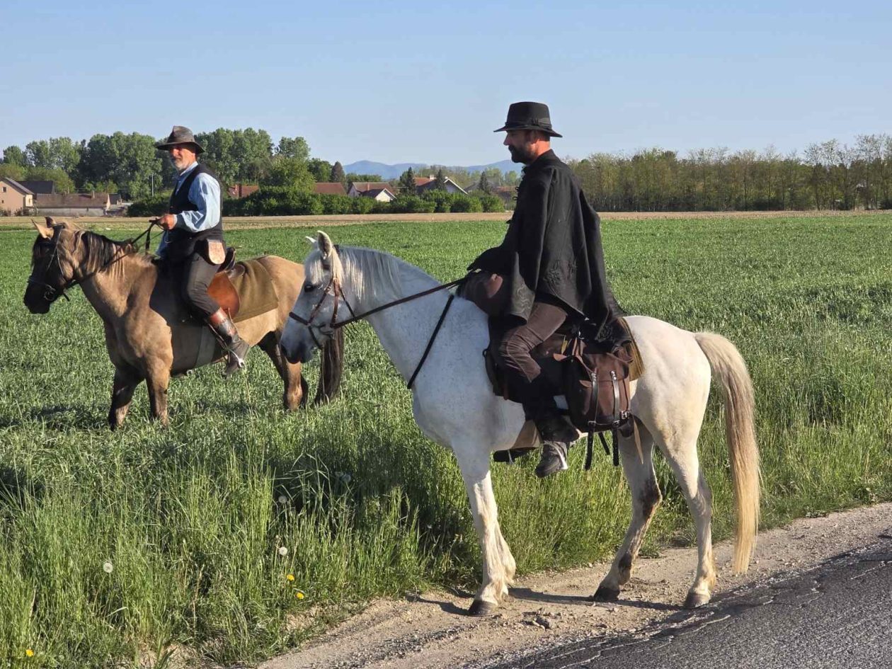 konji jahači Mađarska (1)