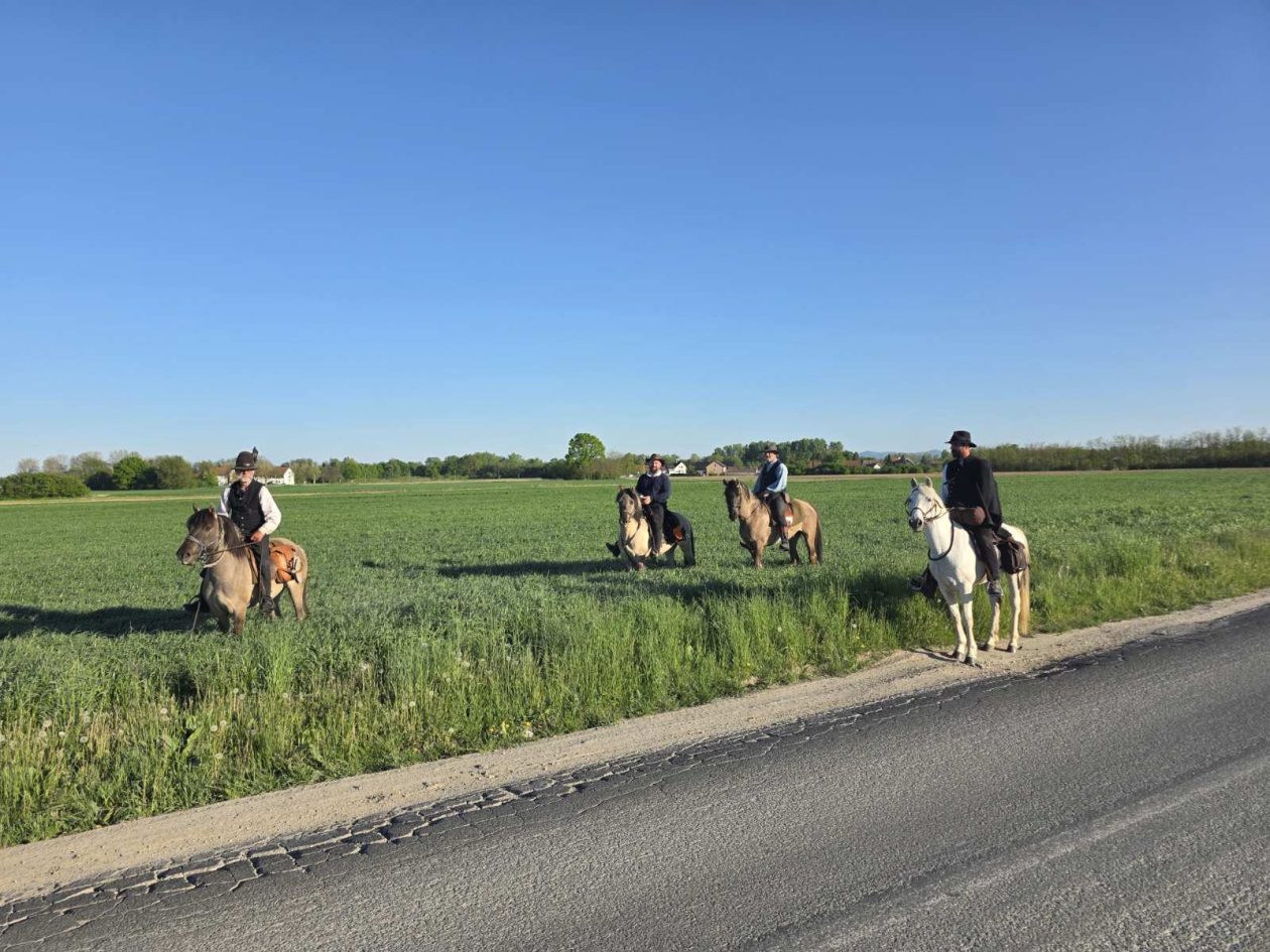 konji jahači Mađarska (4)