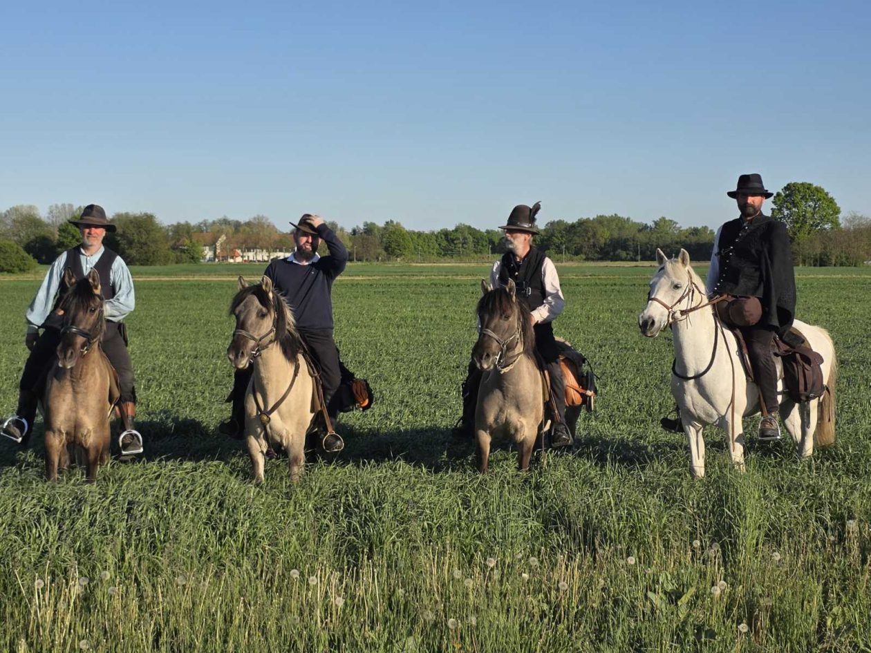 konji jahači Mađarska (5)