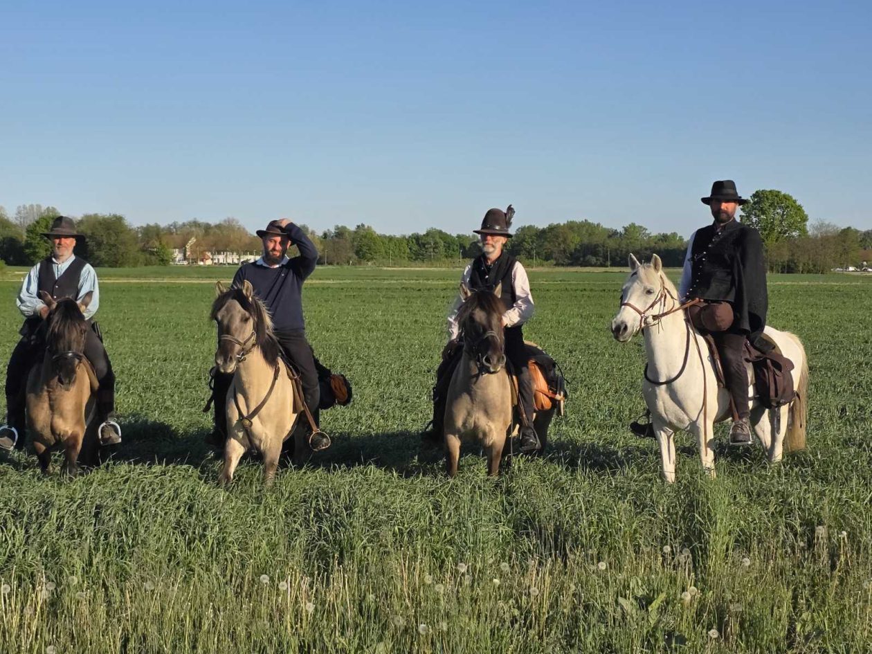 konji jahači Mađarska (6)