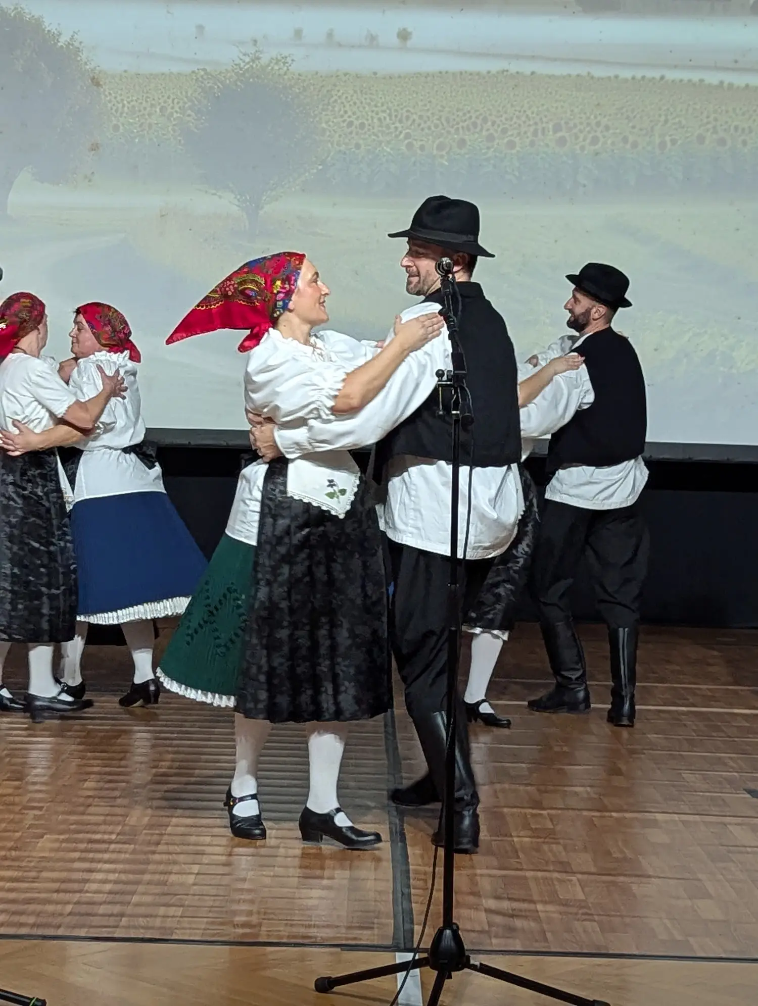 korak uz korak, ruku pod ruku (9)