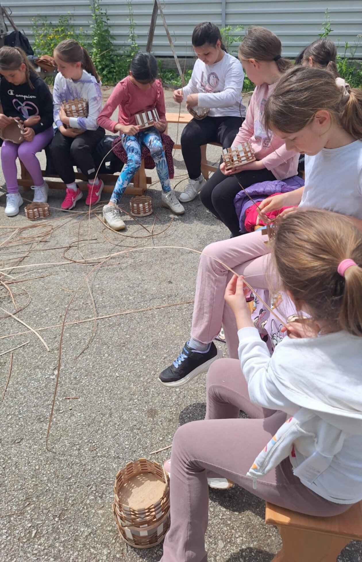 košaraštvo pogorelec (10)