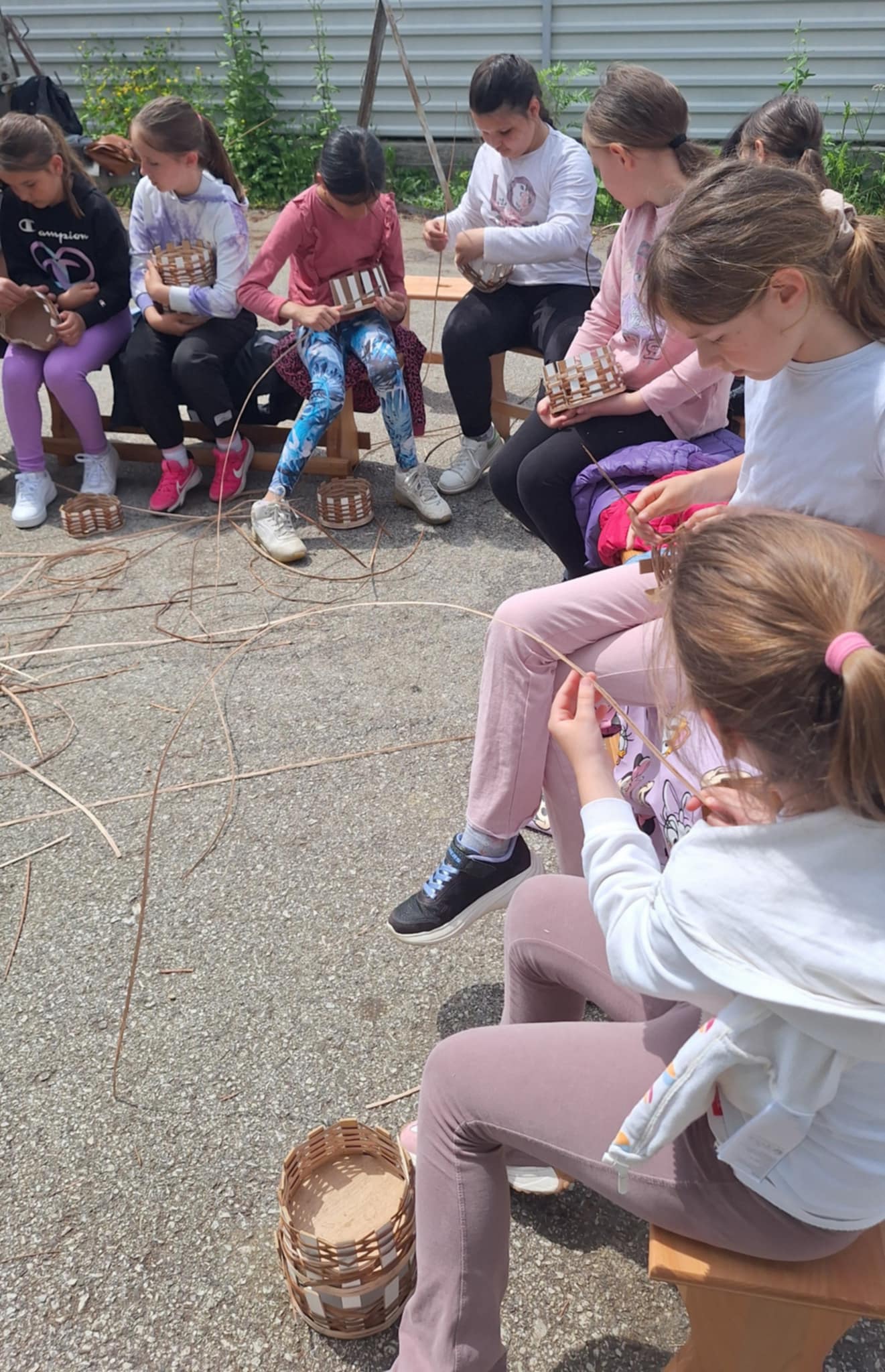 košaraštvo pogorelec (10)