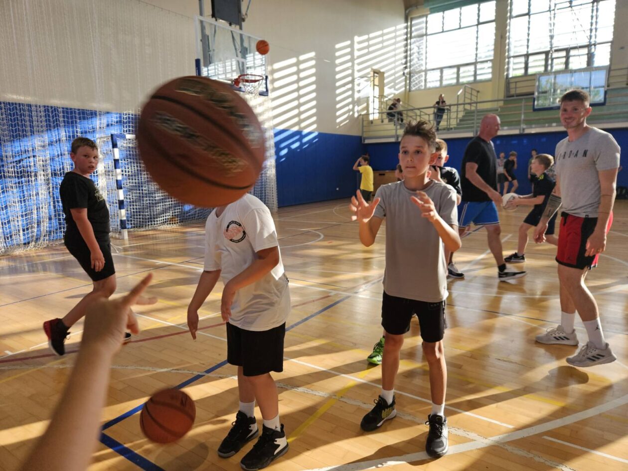 frank back kosarka kampovi