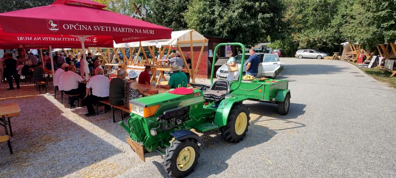 košnja trave, ručna košnja trave sveti martin na muri (9)