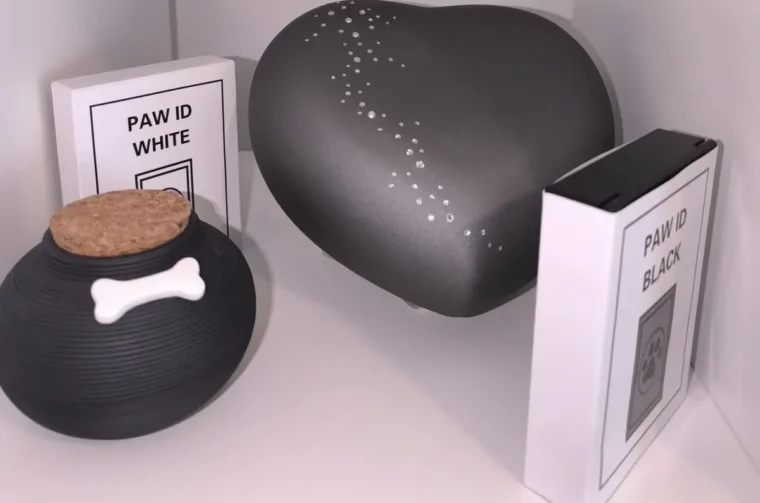 krematorij-damjan-megloba-01