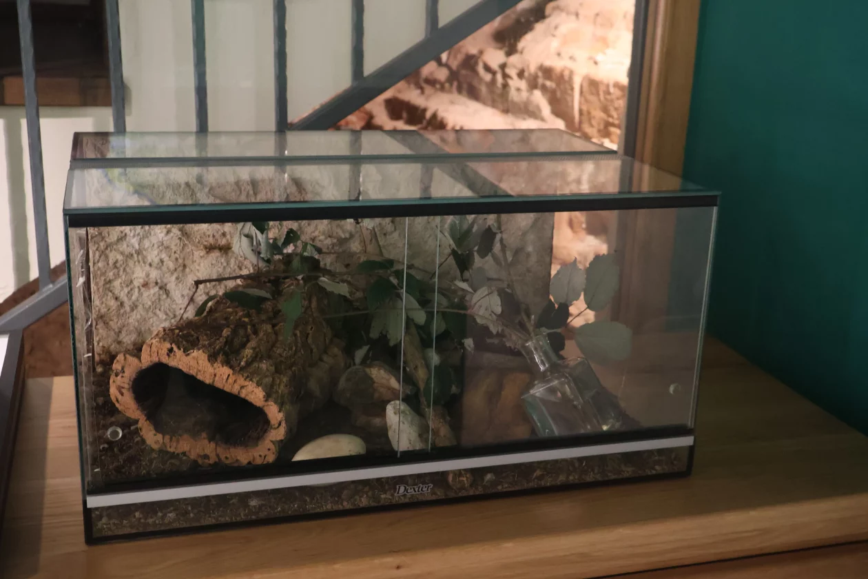 krizovec (20) med dvemi vodami